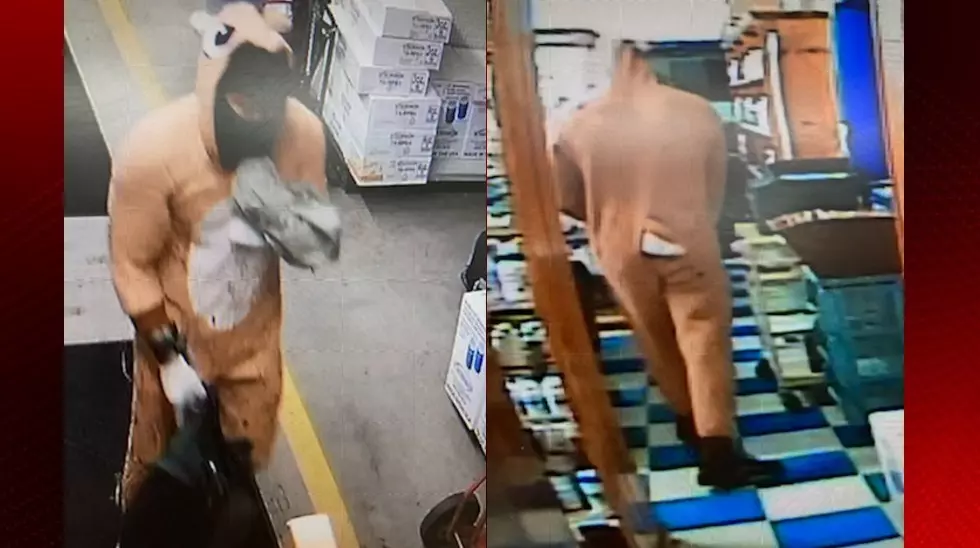 Man in Chipmunk Costume Robs Pharmacy at Gunpoint