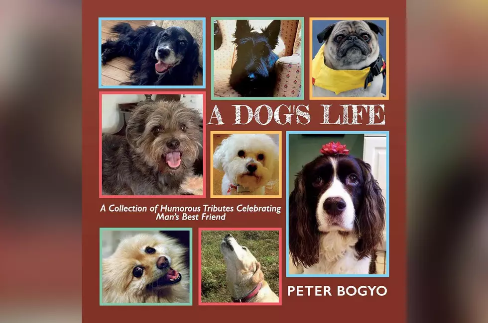 Dog Obituary Book is Tribute to Man’s Best Friend