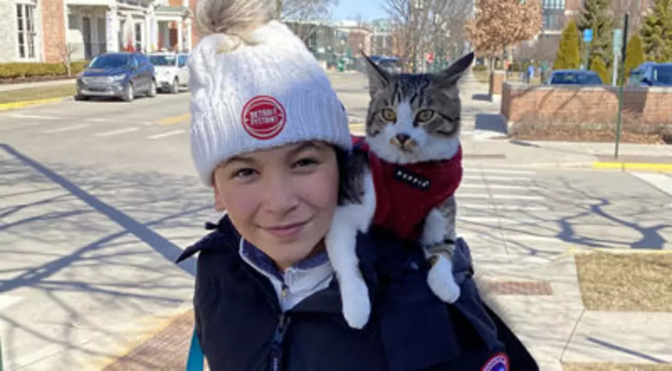 Teen Wins Essay Contest Writing About Her Cat, Donates $50,000 Winnings to Cat Shelter