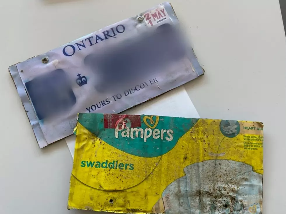Man Used Diaper Box To Create Fake License Plates