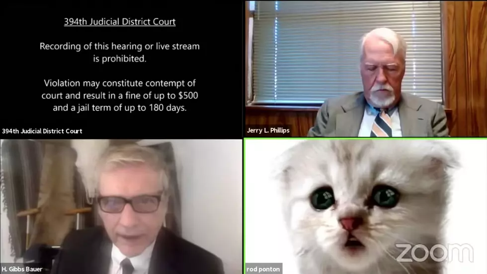 Lawyer Accidentally Joins Zoom Hearing With Cat Filter, Doesn&#8217;t Know How to Turn it Off