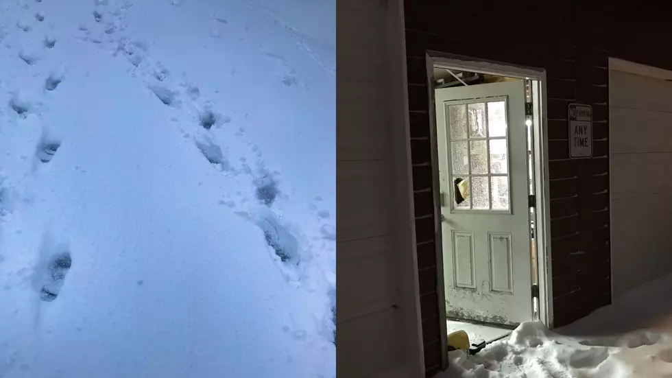 Two Burglars Caught After Police Follow Their Footprints in the Snow
