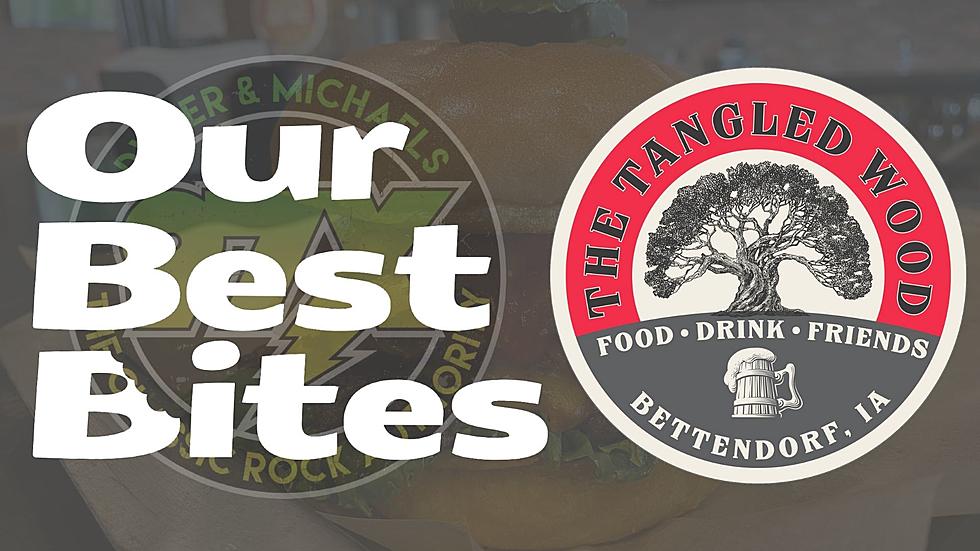 Our Best Bites: The Tangled Wood