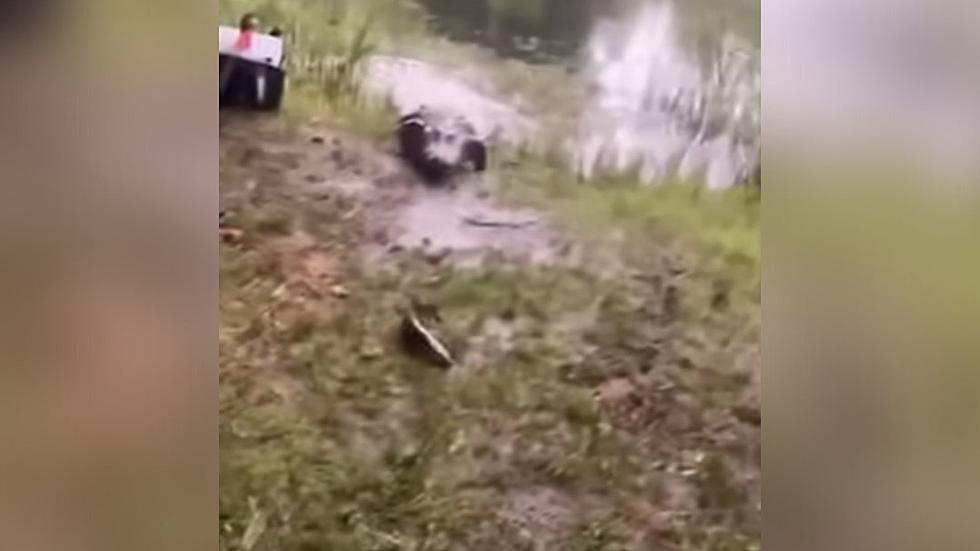 Fisherman Runs When Alligator Chases Fish He Just Caught