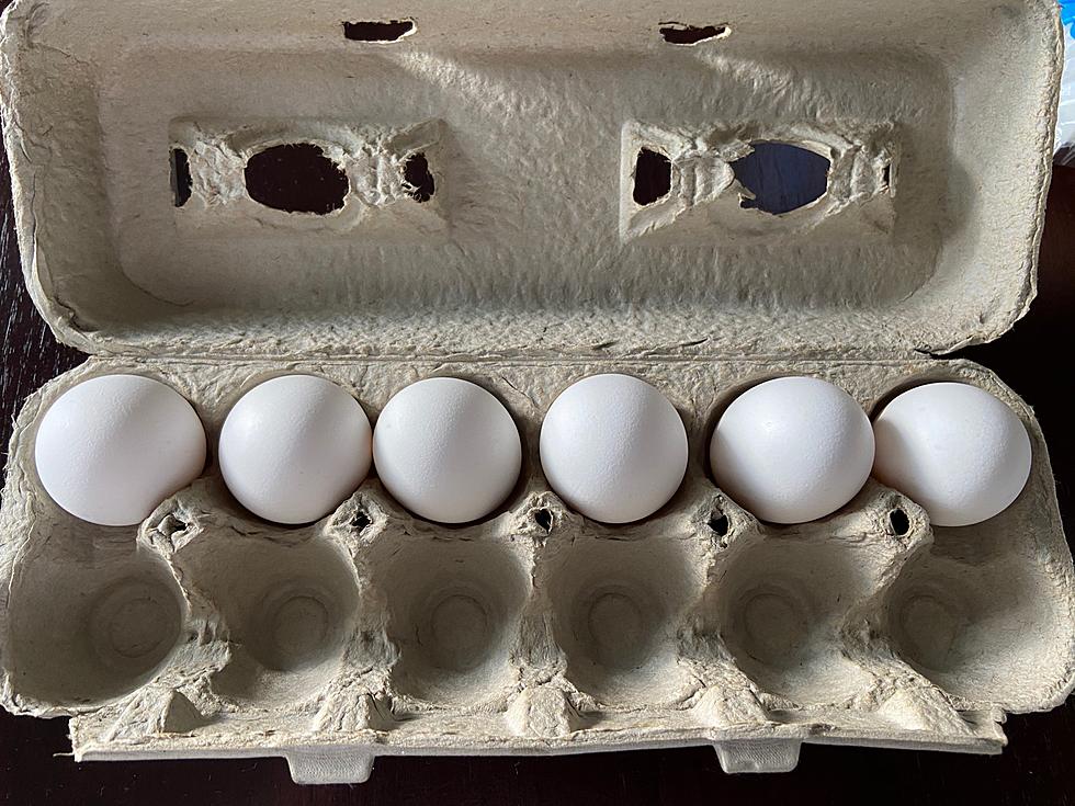 Some Of You Are Psychotic About Eggs