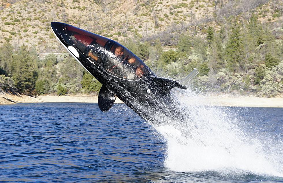 Dear Iowa, We Need a Dolphin Jet-Ski-Submarine Attraction