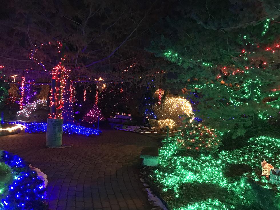 Quad City Botanical Center Opening &#8220;Winter Nights, Winter Lights&#8221; Next Week