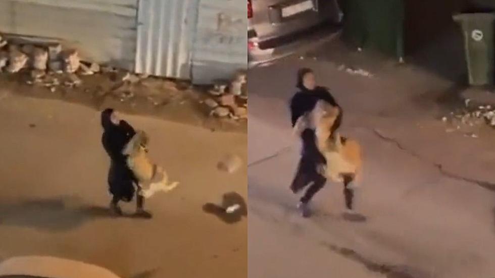 Woman Caught On Video Walking Down Street With A Full-Grown Lion Throwing a Temper Tantrum