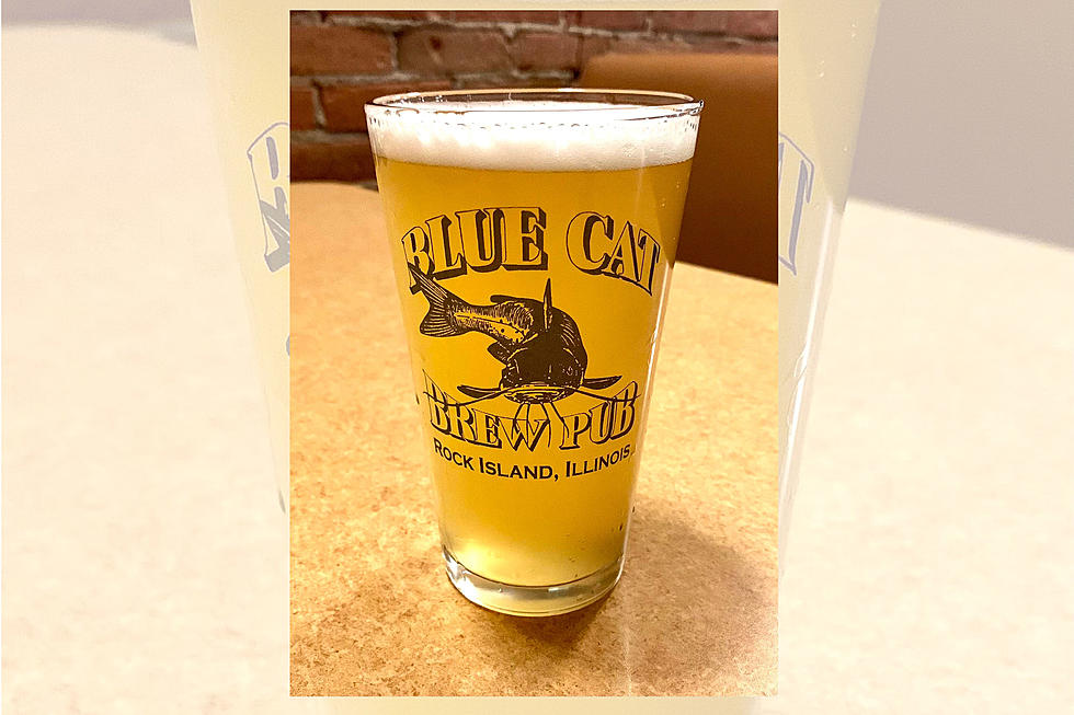 Blue Cat Brewery Gets Back to Basics with a New Beer-Flavored Beer