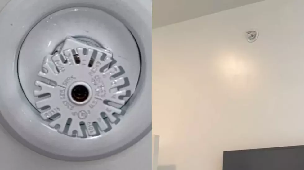 Airbnb Guest Says She Found 10 “Cameras” in Airbnb, But They’re Sprinklers