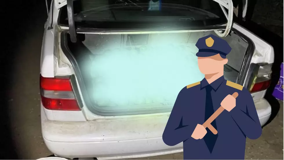 Man Arrested On Suspicion Of Grand Theft With Trunk Full Of&#8230;