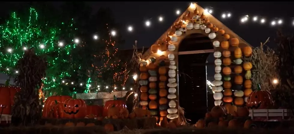 This 2-Acre Pumpkin Pop Up Is Coming to Illinois, And It’s Fall AF