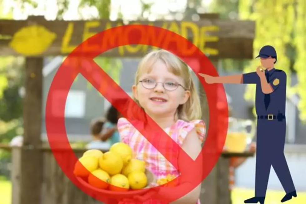 Food Festival Complains Until 8 Year Old’s Lemonade Stand Shut Down