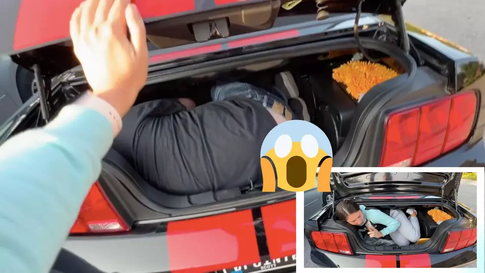 How Long Does It Take To Escape From a Latched Trunk? We Tried It.