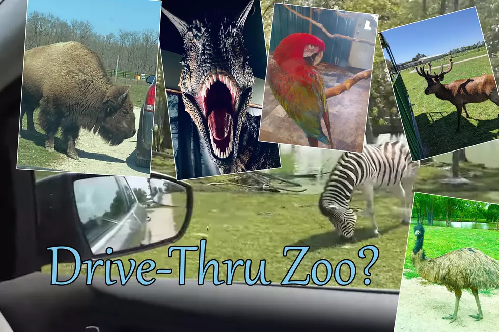 The One and Only Drive-Thru Zoo in Illinois is Worth the Short Drive