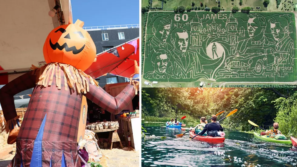 8 Must-Do Fall Activities in Illinois That Will Put You In A Festive Mindset