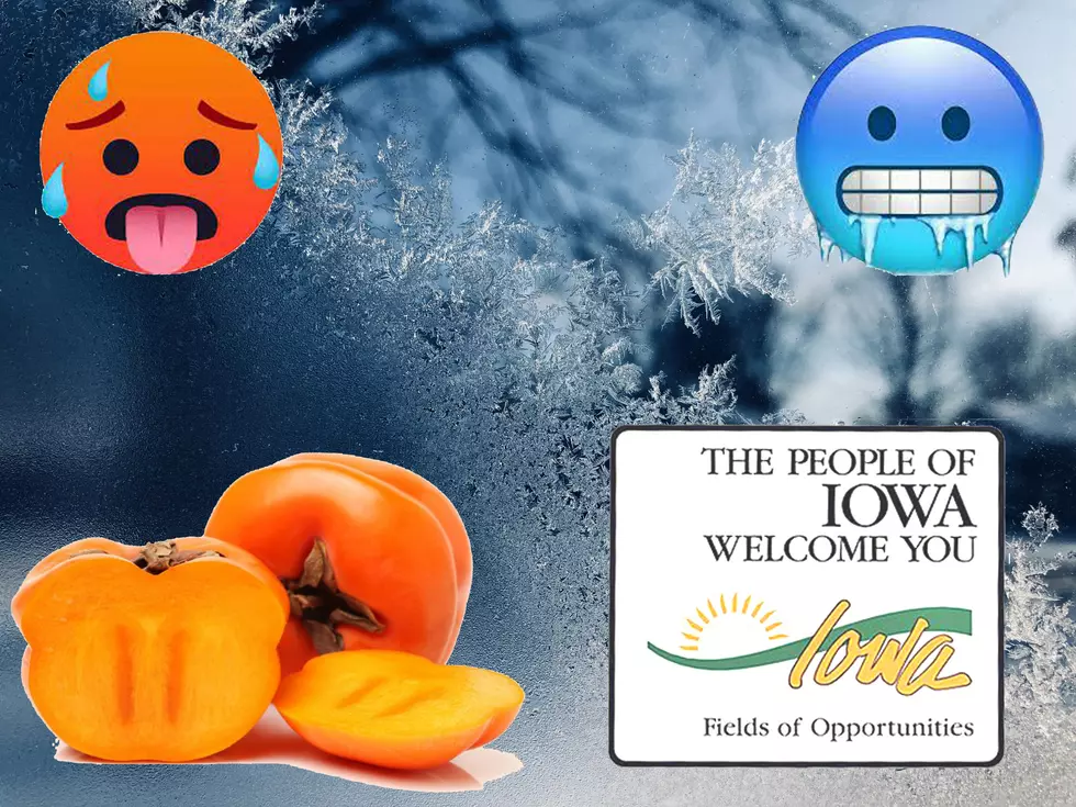 Snowy, Frigid, or Mild?  This Fruit Could Tell Iowa What To Expect This Winter