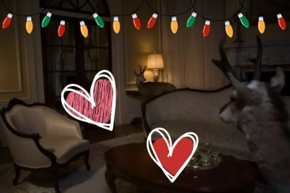 Aroused Deer Breaks Into Wisconsin Home After Falling In Love With Holiday Decoration