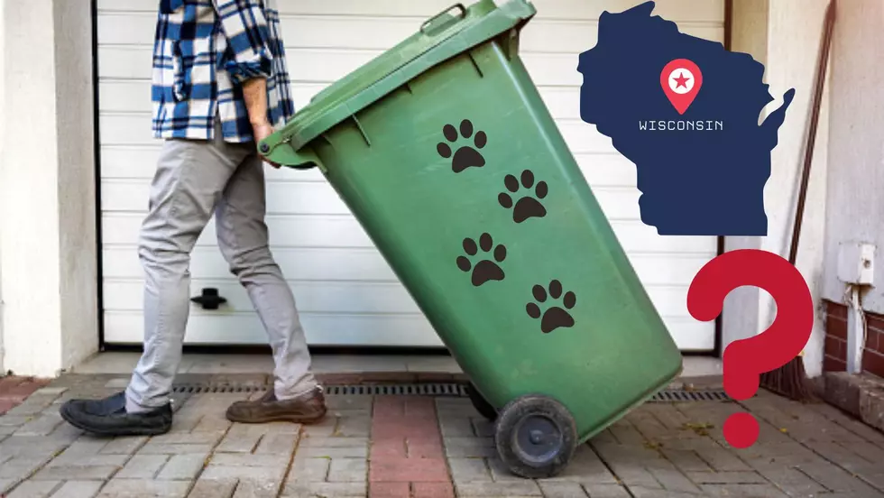 Is It Illegal In Wisconsin To Put Dead Animals In The Garbage?