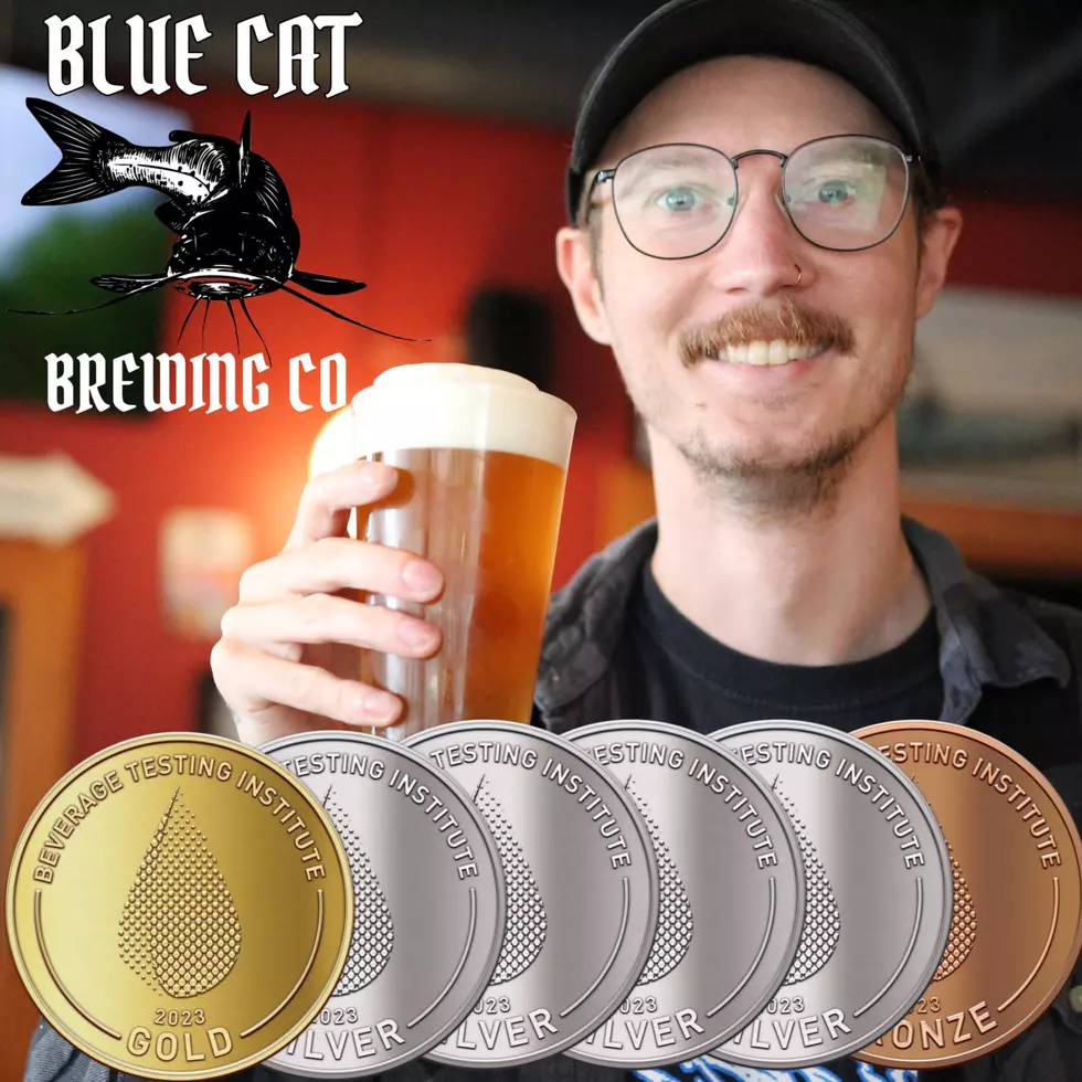Blue Cat Opens Temporarily So Award Winning Beer Doesn’t Go to Waste