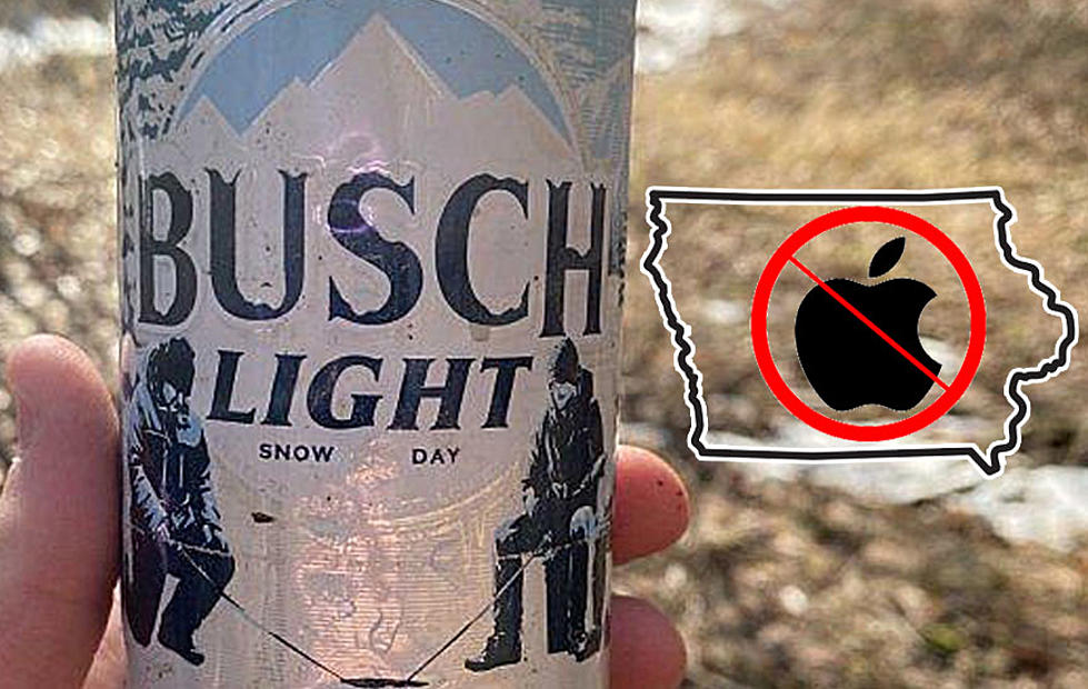 Busch Light Could Be Bringing a New Flavor to Iowa Bars