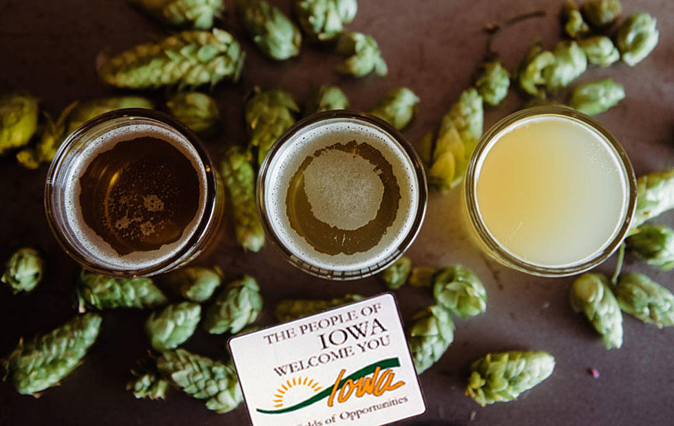 Brewing Hope: Experience the Joy of Giving Back with Hops for Housing
