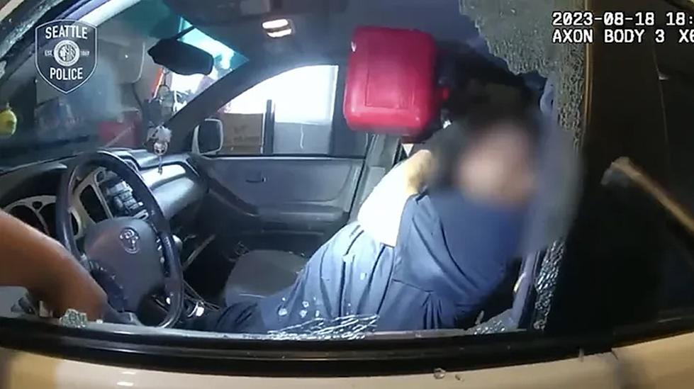 Burglar Chugs Gasoline While Cops Try To Arrest Him