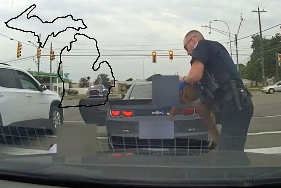 Camera Footage Of Michigan Police Saving Dying Child During Traffic Stop