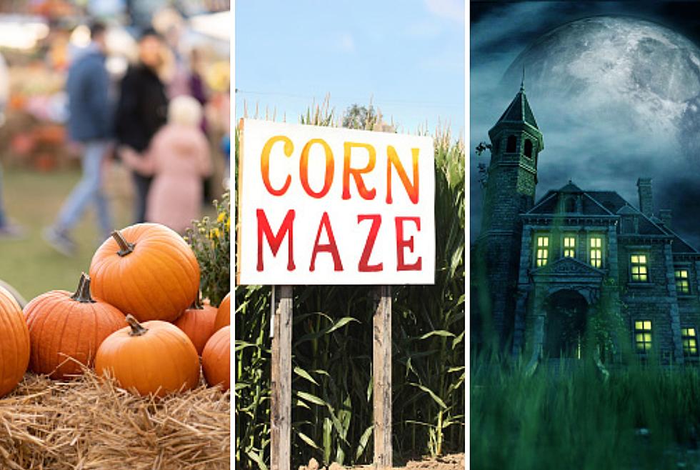 Quad Cities Best Pumpkin Patches, Corn Mazes and Haunted Houses