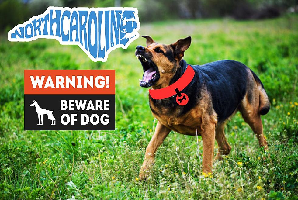 North Carolina, If You See a Dog Wearing a Red Collar Stay Away