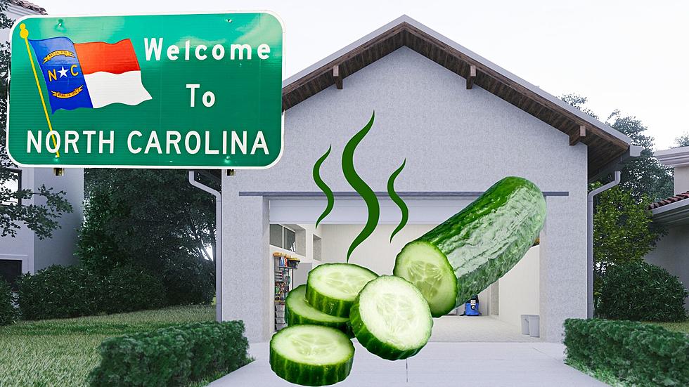 North Carolina, If You Smell Cucumbers In Your Garage, Get Out Now