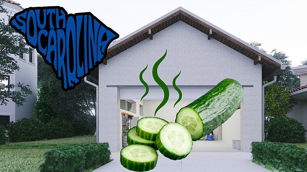 South Carolina, If You Smell Cucumbers in Your Garage, Get Out Now
