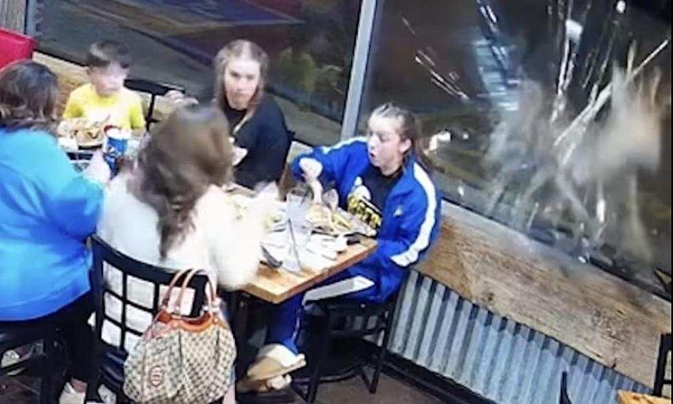 Deer Crashes Through Restaurant Window While Family Eats