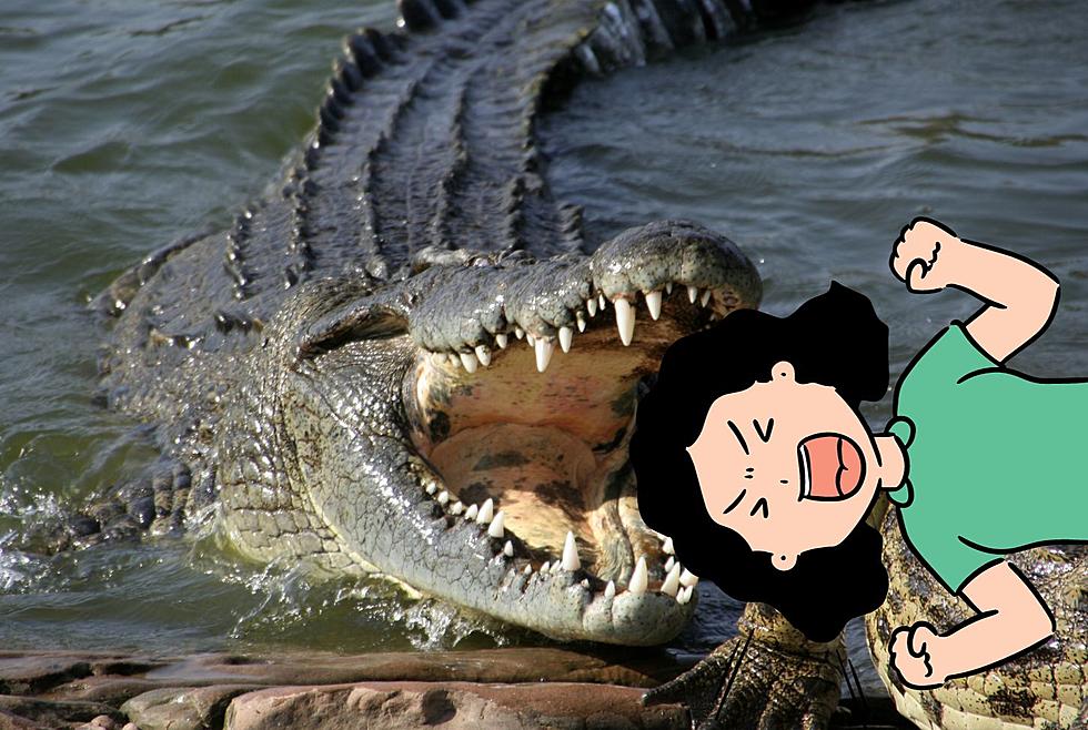 Florida Woman Gets Head Bitten By 9 Foot Alligator While Snorkeling
