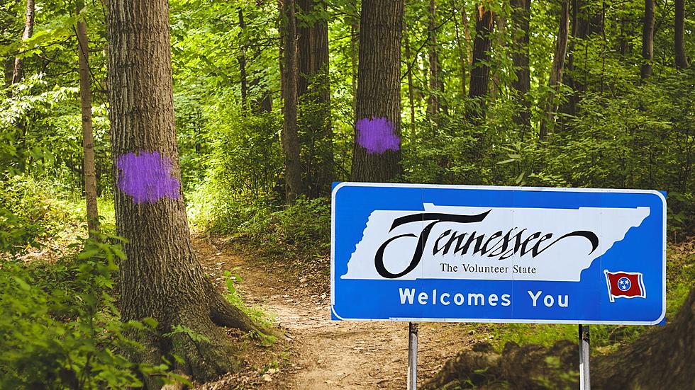 Tennessee, If You See Purple Paint, Turn Around Immediately