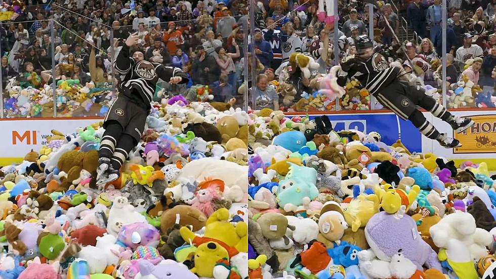 Over 70,000 Stuffed Animals Thrown On Ice At Hockey Game