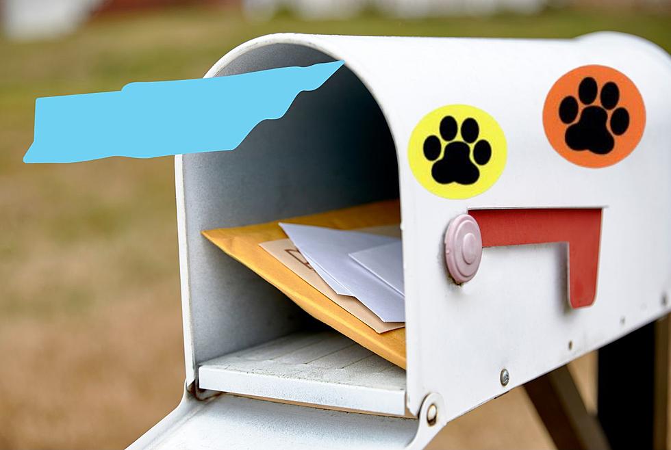 Tennessee, If You See A Paw Print Sticker On Your Mailbox, Don’t Touch It