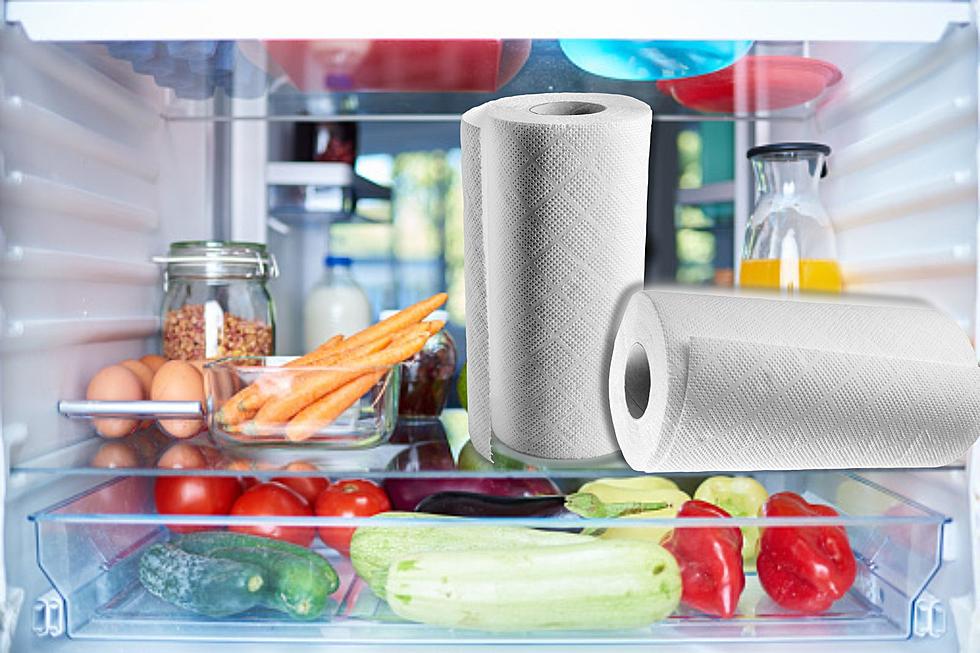 Why Every Tennessean Should Be Keeping Paper Towels in The Fridge