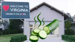 Virginia, If You Smell Cucumbers In Your Garage, Leave Immediately