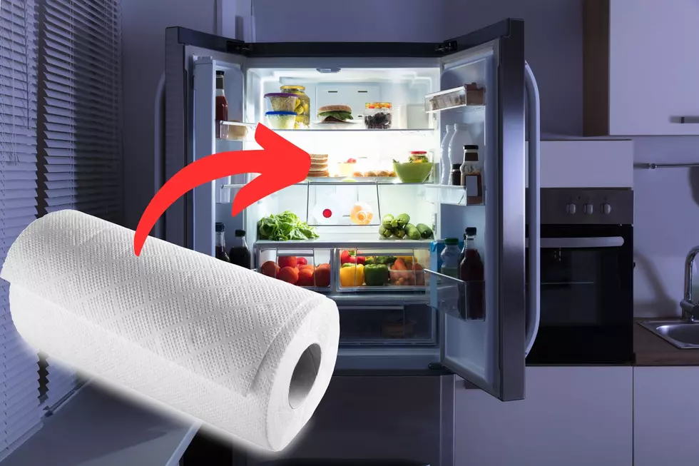 North Carolinans Should Be Keeping Paper Towels In Their Refrigerator For This Simple Reason