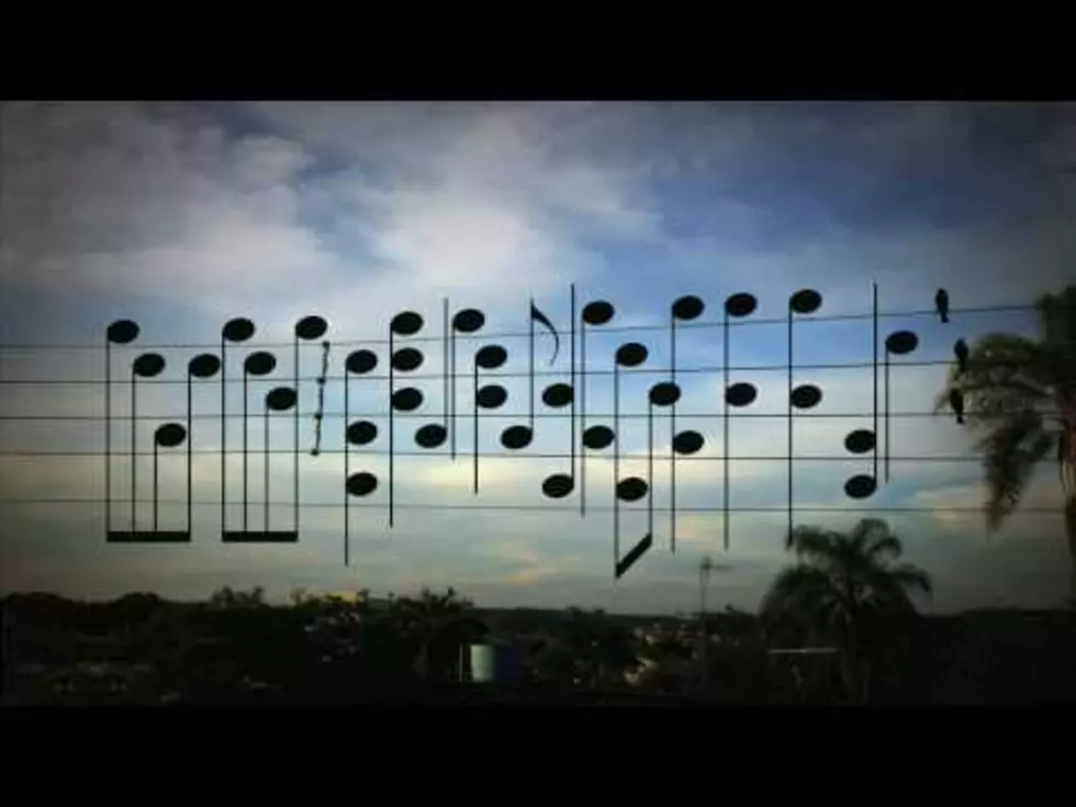 Birds On A Wire Set To Music [Video]