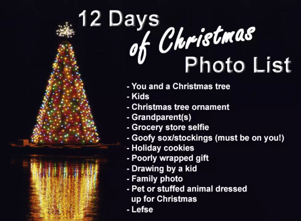 Y-105 12 Days of Christmas Photo List