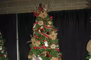 Annual Festival Of Trees Event Is Nov 27-30