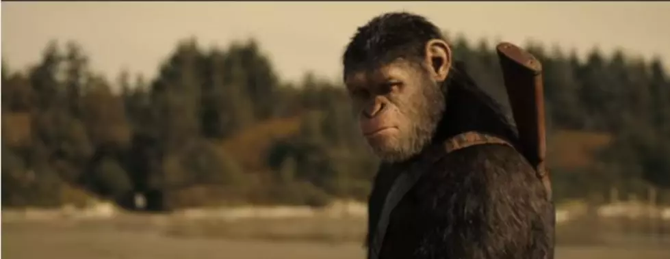 First Look: War for the Planet of the Apes