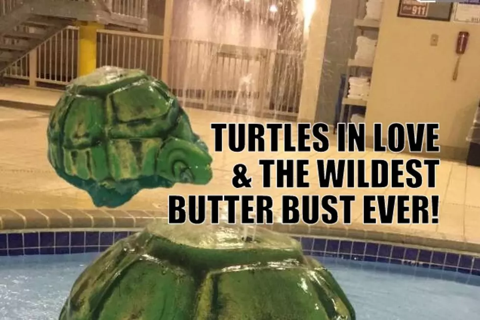 Your Snap Chats This Week – The Mating Turtles and the Wet Snowpants