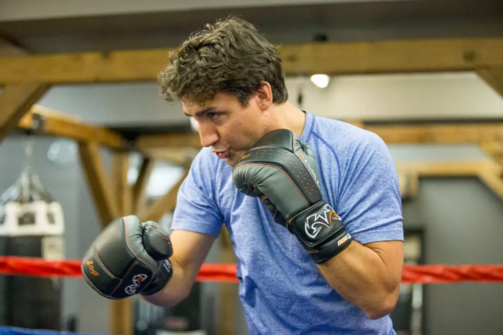 Wait – What? Canada’s Prime Minister Wants To Punch Chandler Bing?