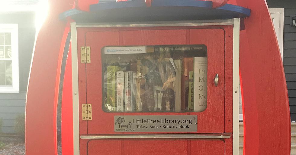 Is This Rochester&#8217;s Coolest Mini-Library? (PICTURES)