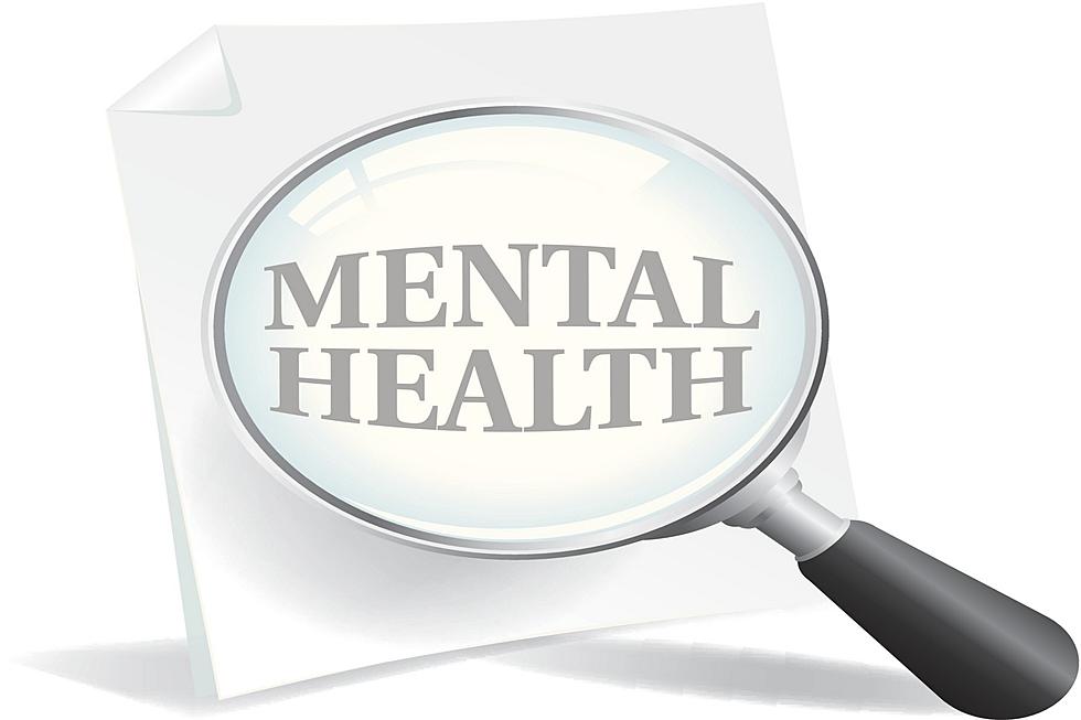 Please Save These Mental Health Resources Available in #RochMN