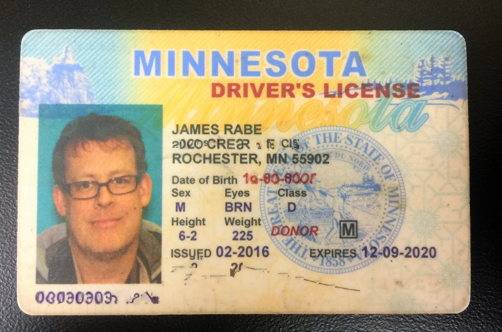 Minnesota Driver License
