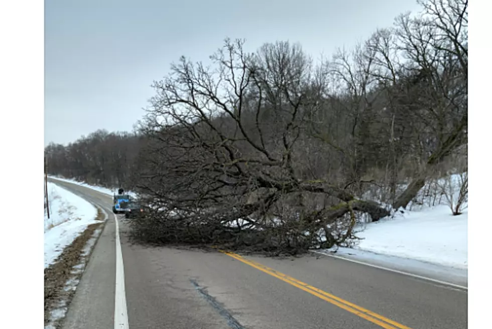 Tree Crashes Onto Olmsted County Patrol Car (VIDEO)